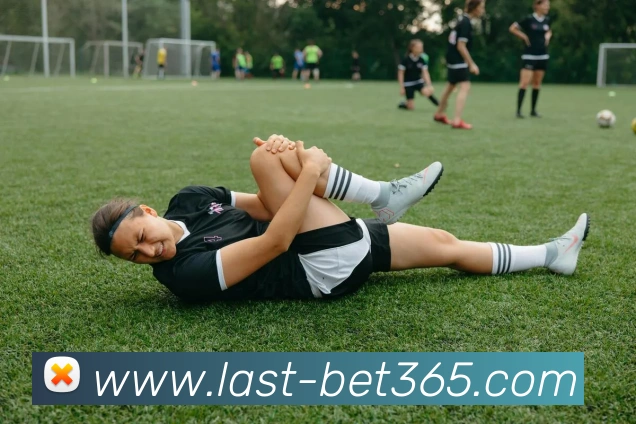 bet365平台生态图